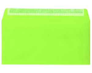 Aploksne C6/5 (114*229) palm., saltu zaa, 1gab.